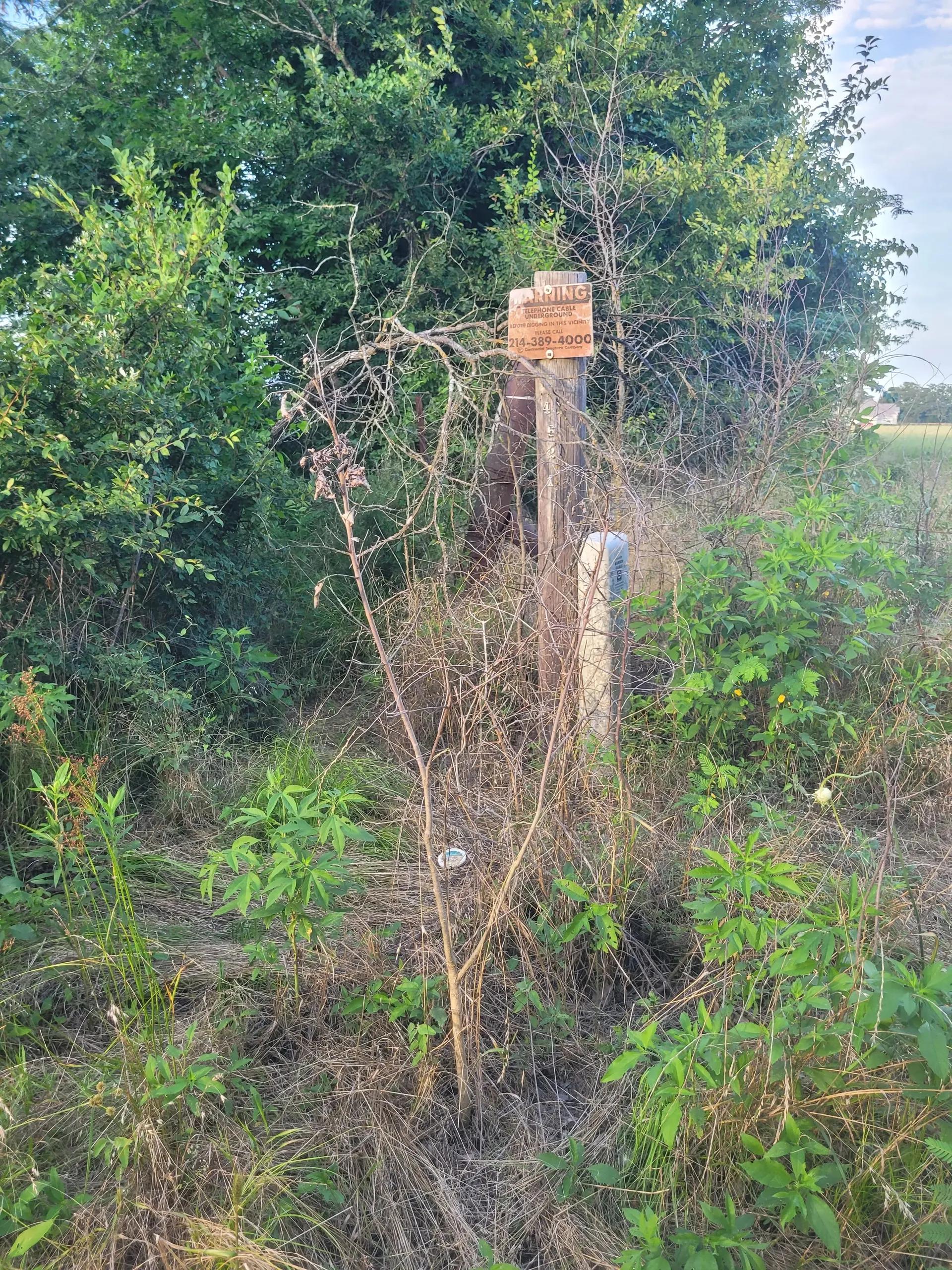 50357380-21