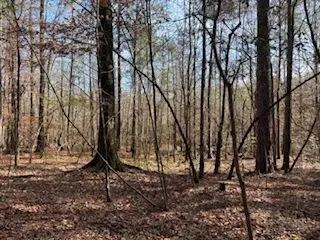 LA - La Salle 35 acres +/-