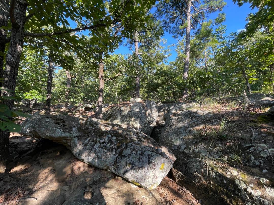 10.67 Acres on Beautiful Flagpole Mountain