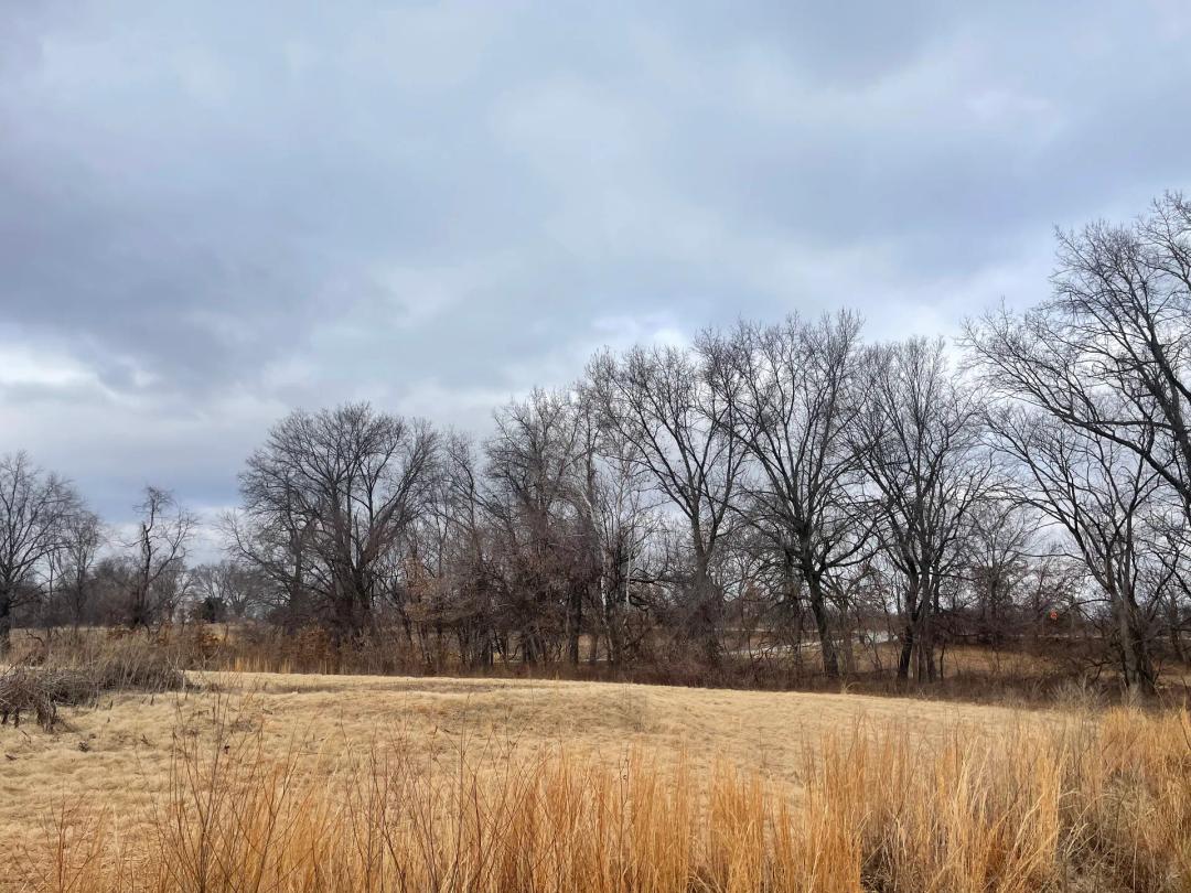 6 Acre Build Site with Highway Frontage