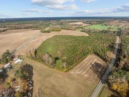11-web-or-mls-DJI_0345