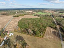 12-web-or-mls-DJI_0346