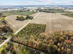 3-web-or-mls-DJI_0328
