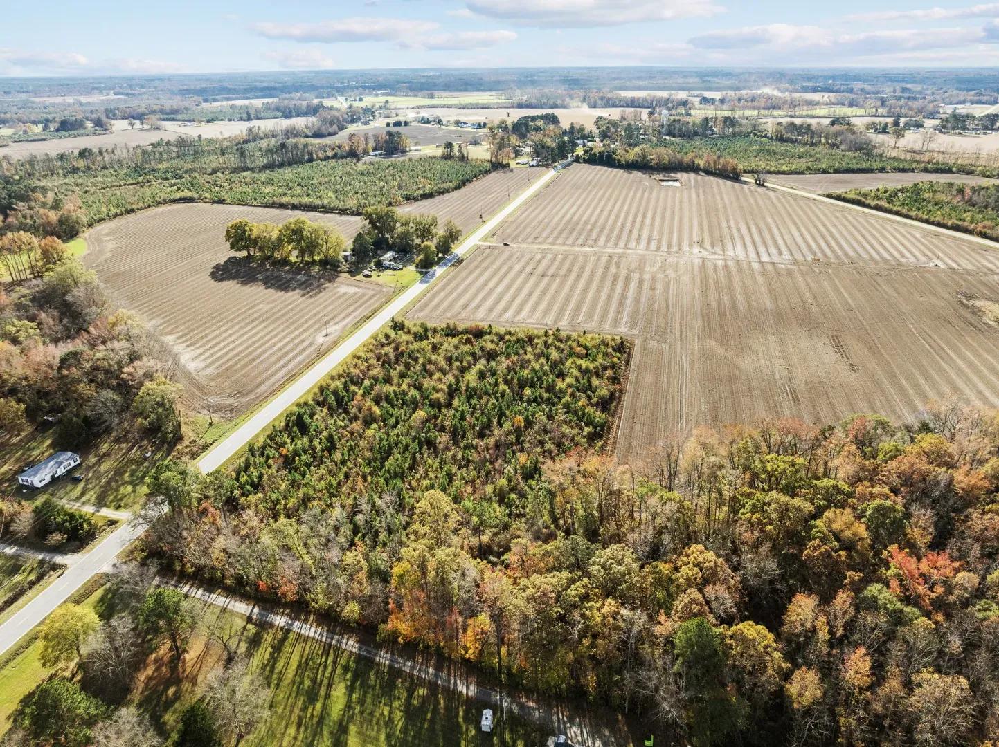 3-web-or-mls-DJI_0328