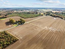 4-web-or-mls-DJI_0330