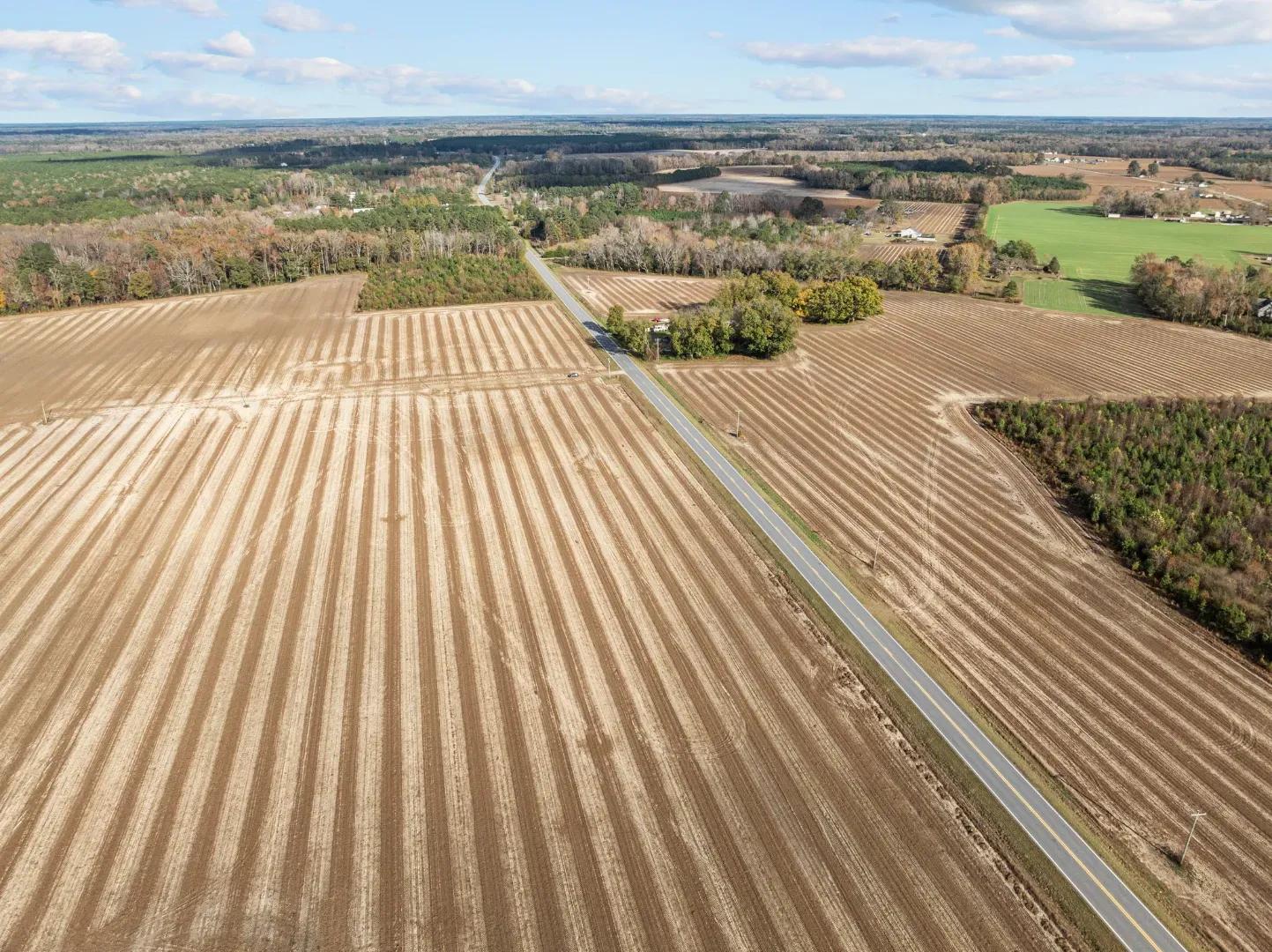 8-web-or-mls-DJI_0337