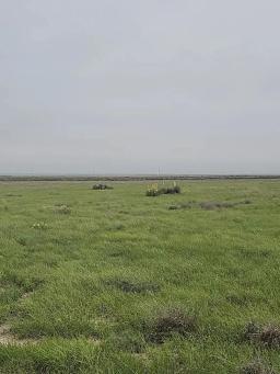 50525059-2