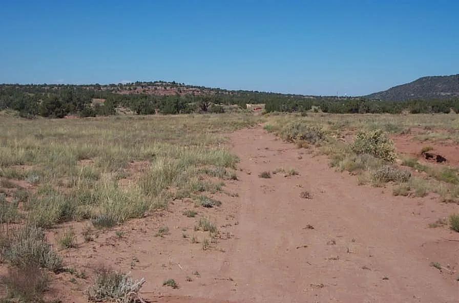 Scenic Views - Ranch of the Golden Horse - East of Snowflake Arizona