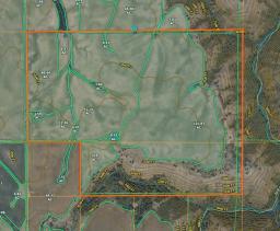 50540313-51