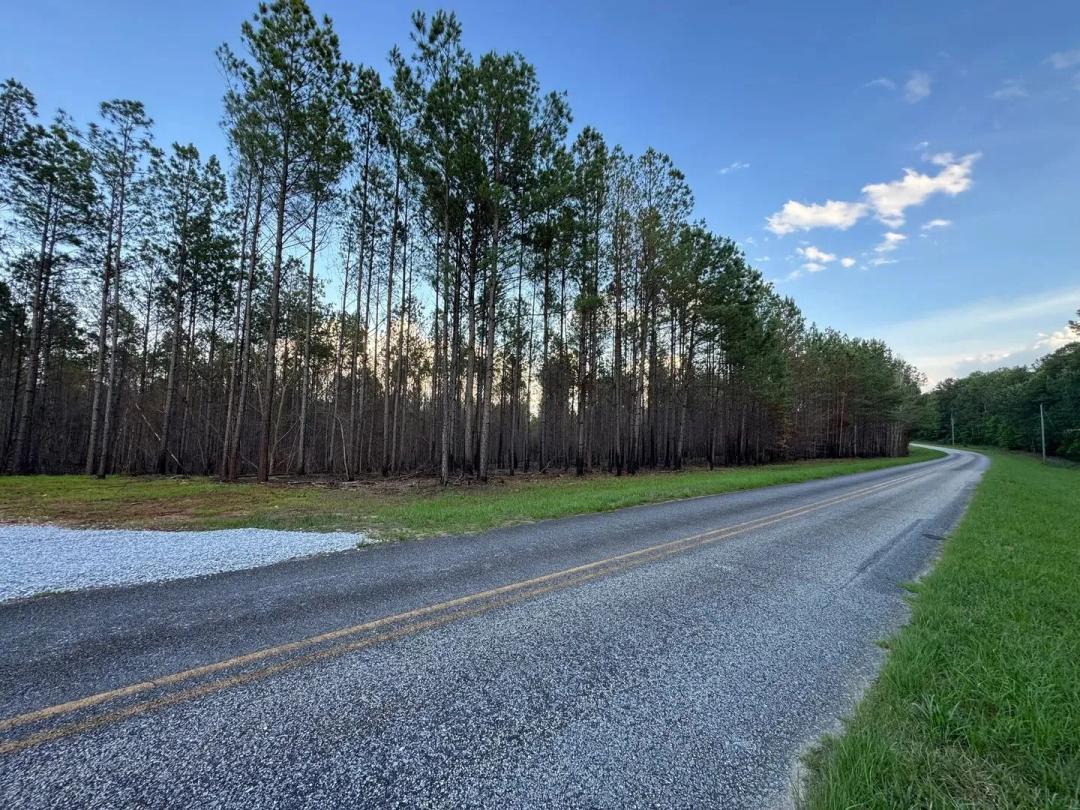 16.07 +/- AC  Close to Lake Martin, Barrons Bridge Rd, Tallapoosa County