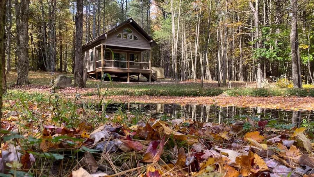 11 acres Cabin with Pond and Hunting Blind in Granger NY 11442 Hooker Rd