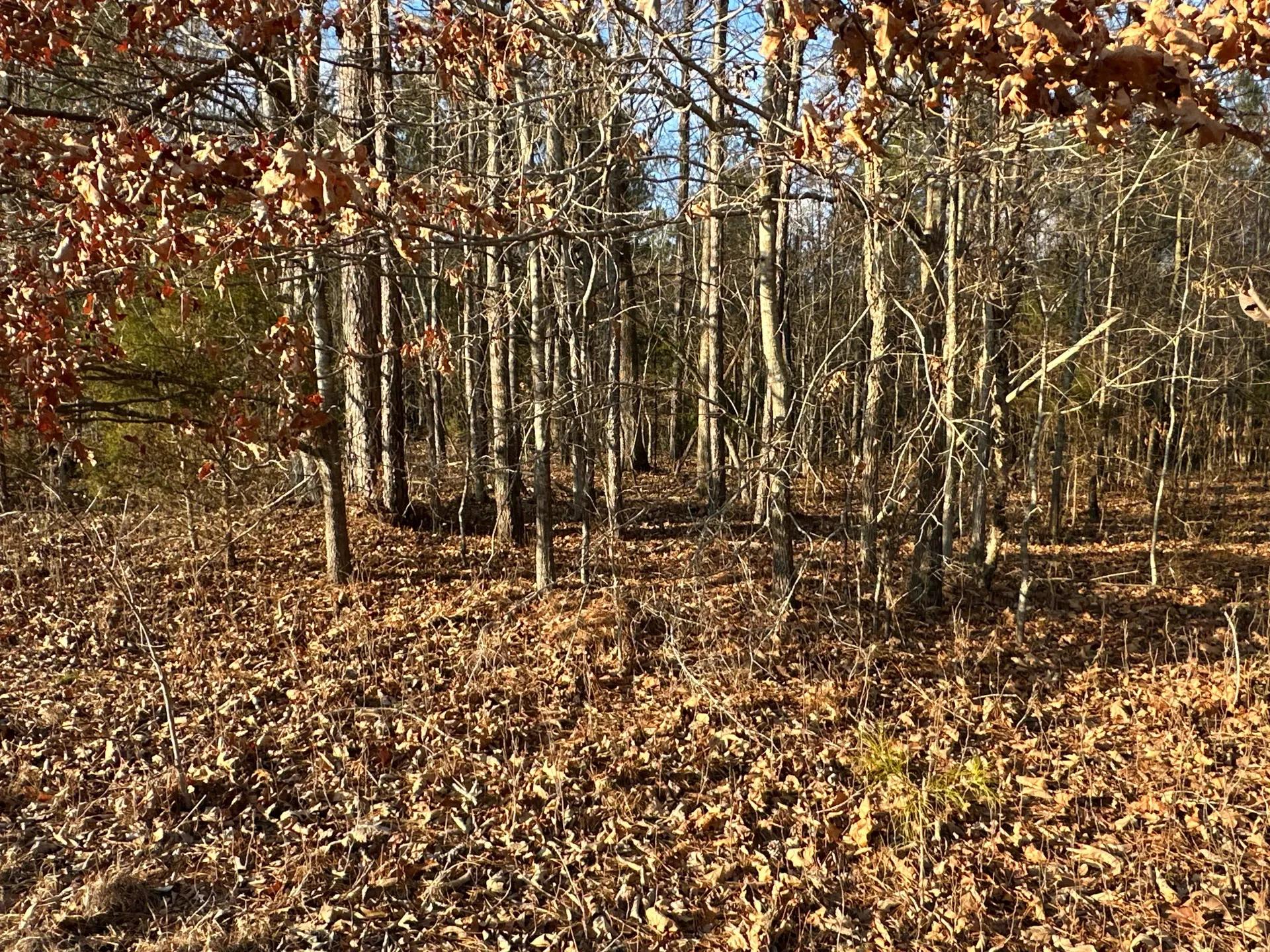 50604721-30