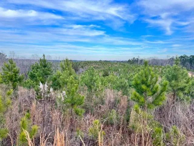 McCool West Tract