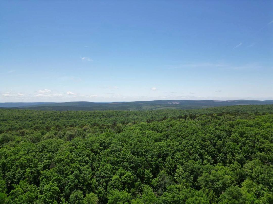 16.14 ACRES MOUNTAIN LAND IN ALBION OKLAHOMA FOR SALE