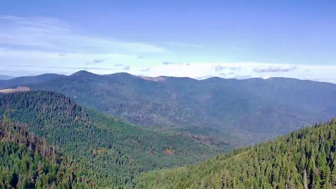 W. Williams Creek Rd-160 Acres