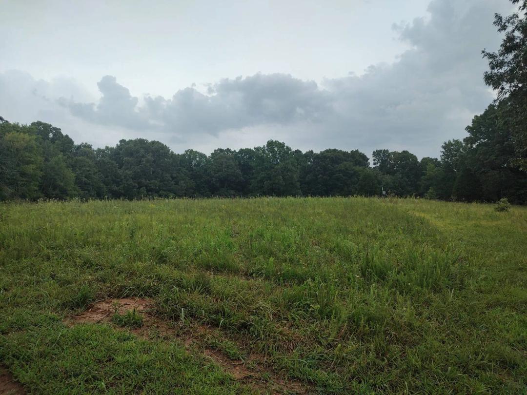 32 Acres Near Kentucky Lake - Woods, Wildlife &amp; Your Dream Home