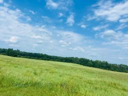 img_IMG_2879