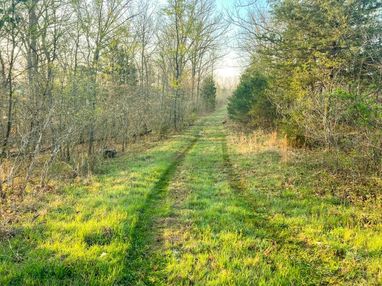 Diamond School Road