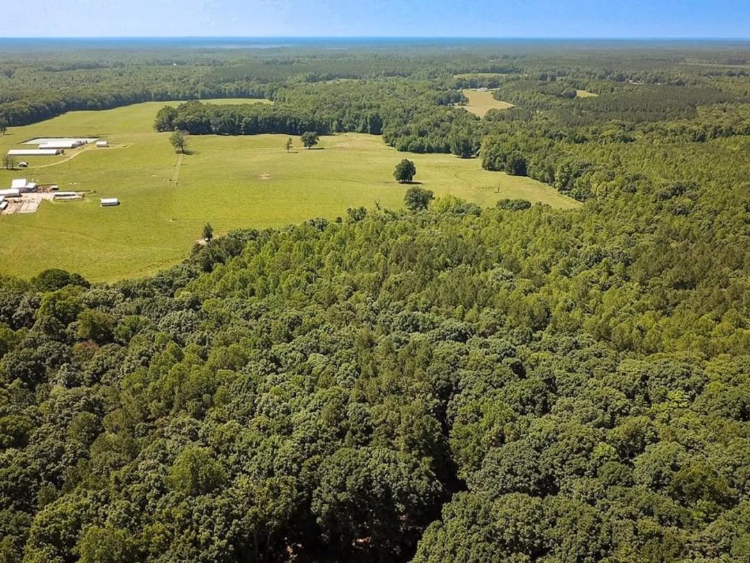 27.5 Acres of Hunting & Timberland in Dinwiddie County Virginia!
