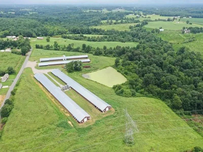 Hyline Broiler Farm – Four House Farm in Cullman County, Alabama