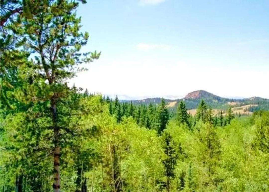 111 CO 67, Cripple Creek