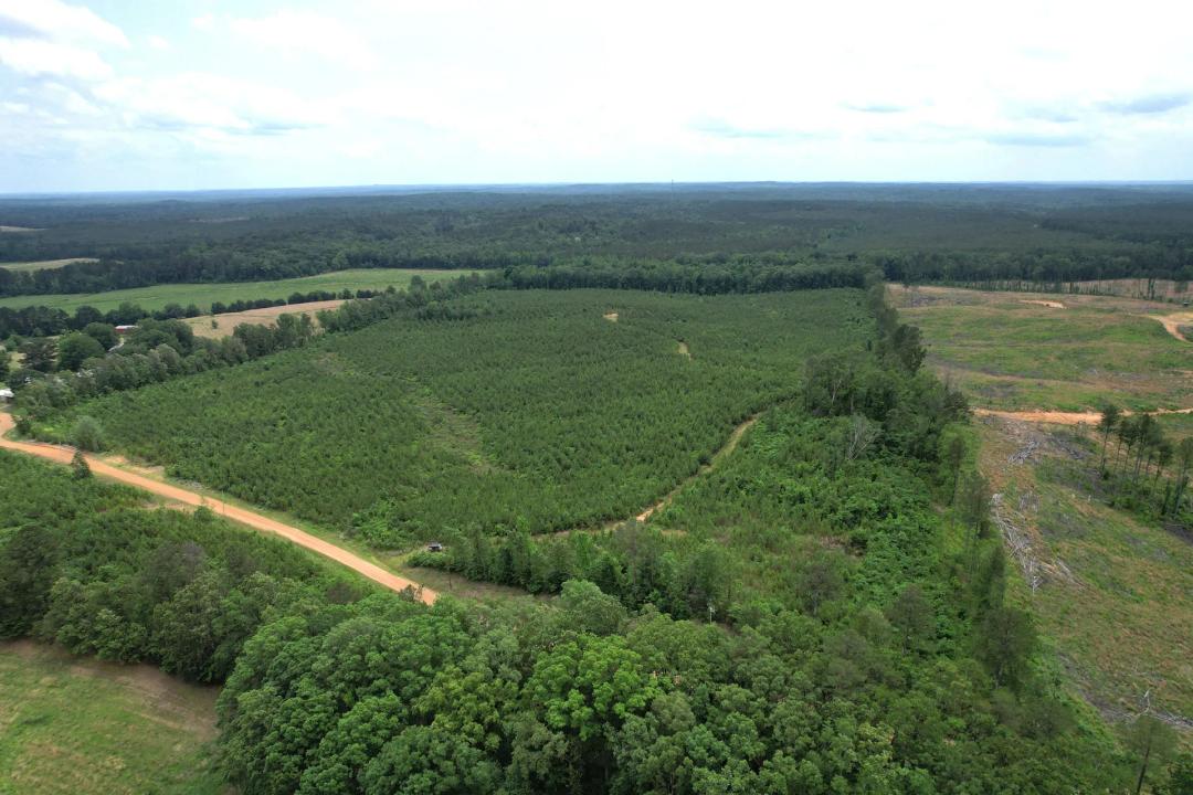 60 Acres in Grenada County, MS