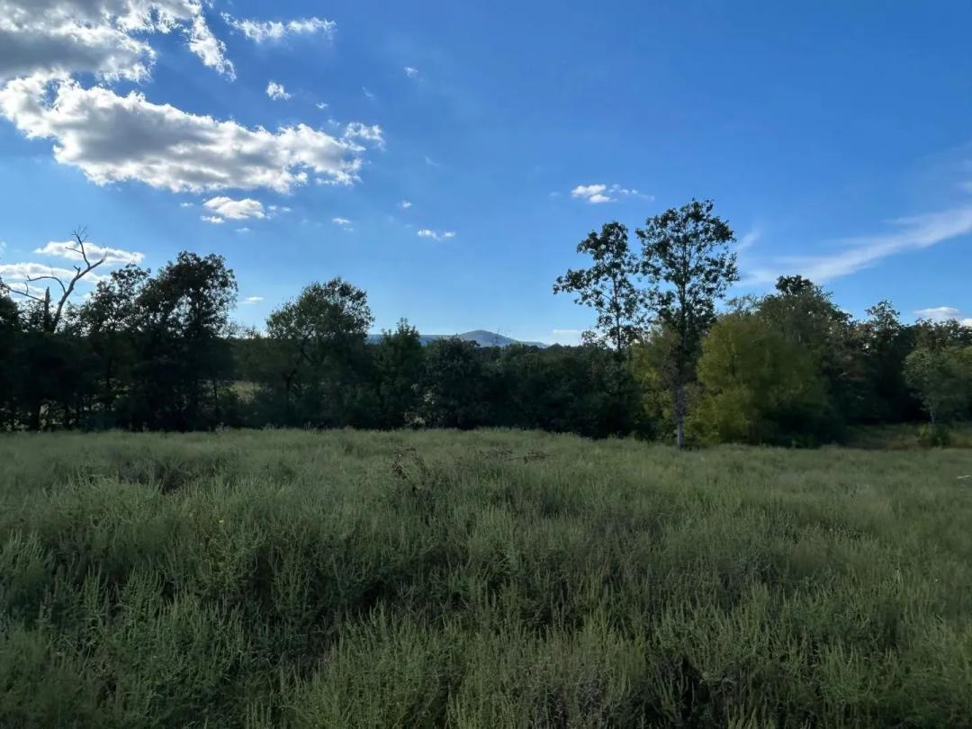 12.19 Acres in Polk County, AR 