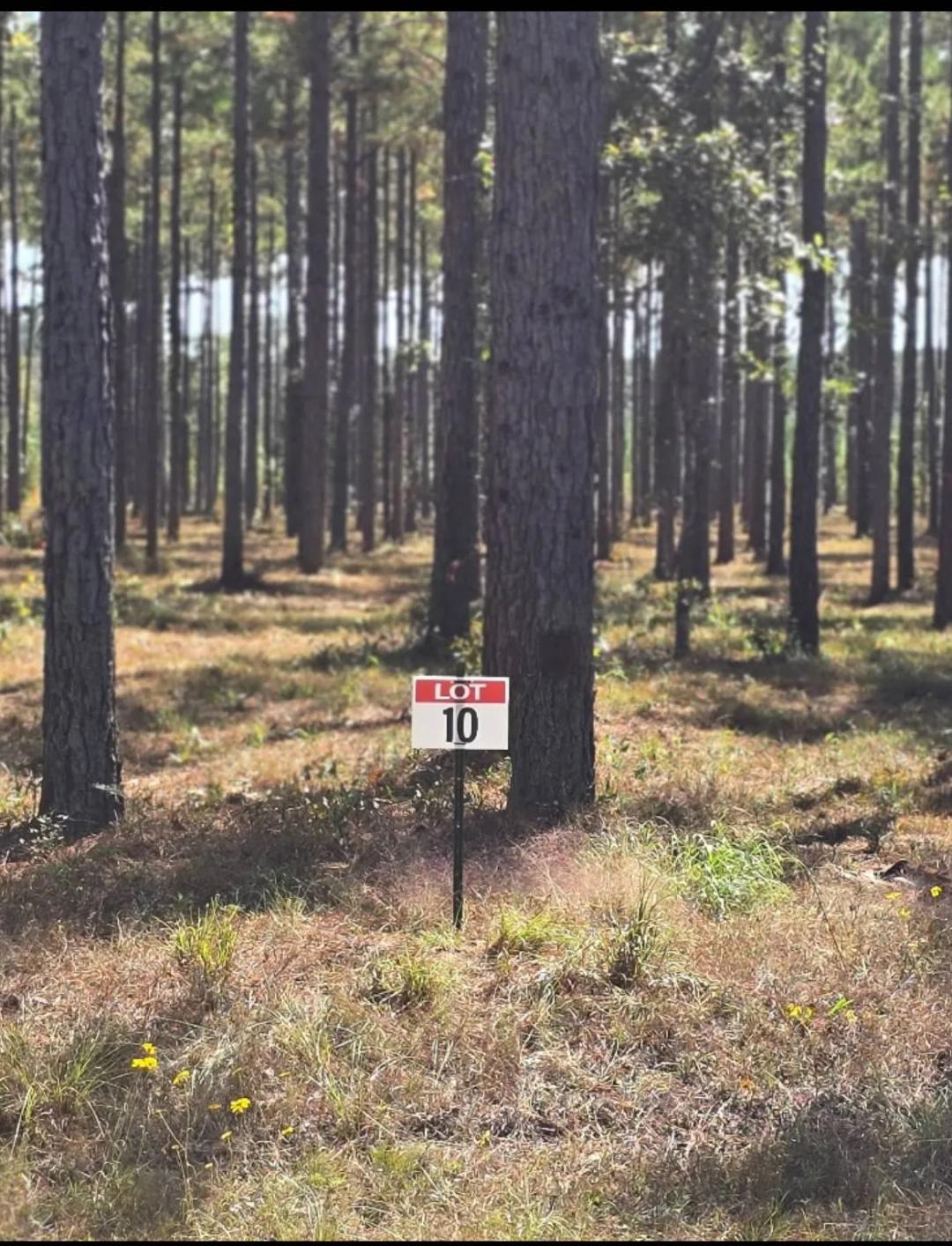 0.43 Acres at 010 Army Recreation Rd