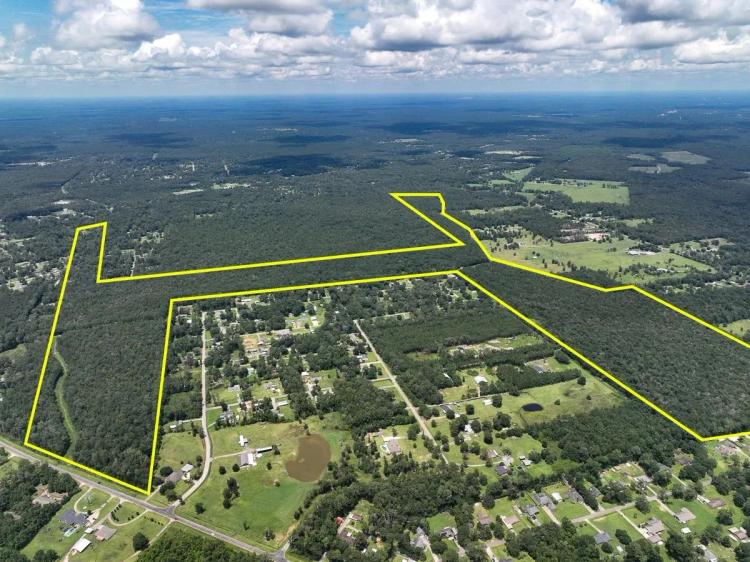 195 Acres | FM 1132 | 01164