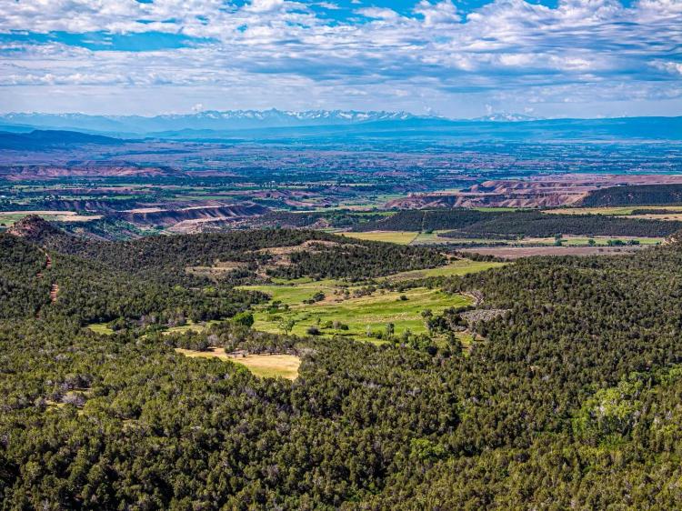 Stunning Mountain Property for Sale in Cedaredge, Colorado