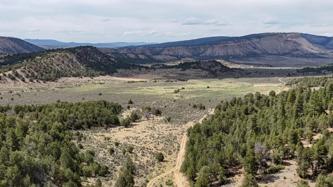 267.5 Acres Forest Inholding Game Mgmnt 5B