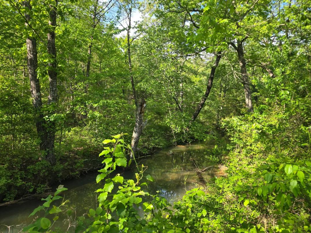 48.35 ACRES ON K-TRAIL WITH CREEK PUSHMATAHA COUNTY OK FOR SALE