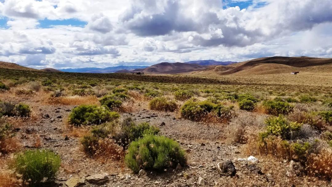 Scenic 20 Acres Near Lahontan Dam & Reservoir