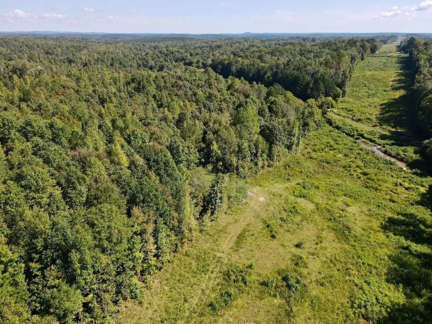 51044259-10