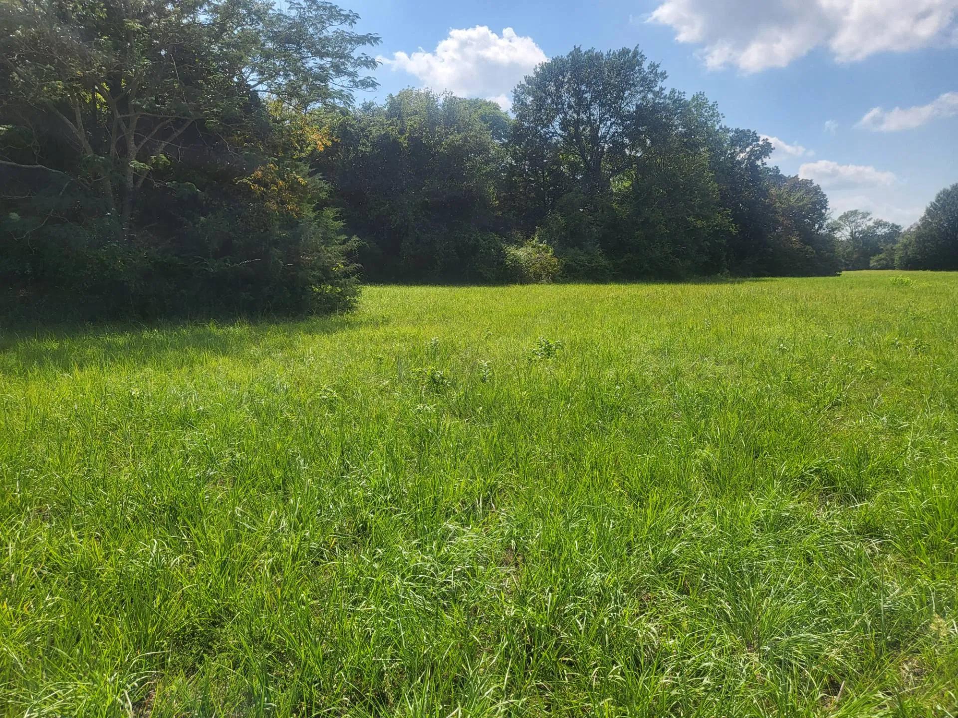 51047418-3