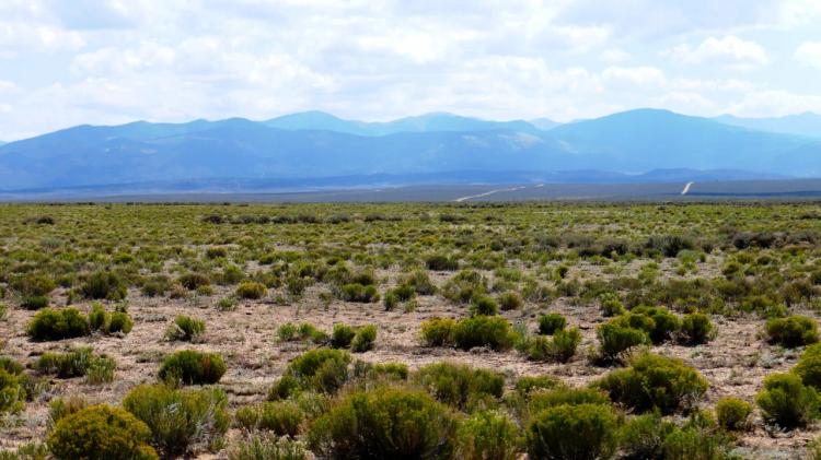 Oversized Parcel in Mt. Blanca Estates 7.27 acres - Mobiles OK