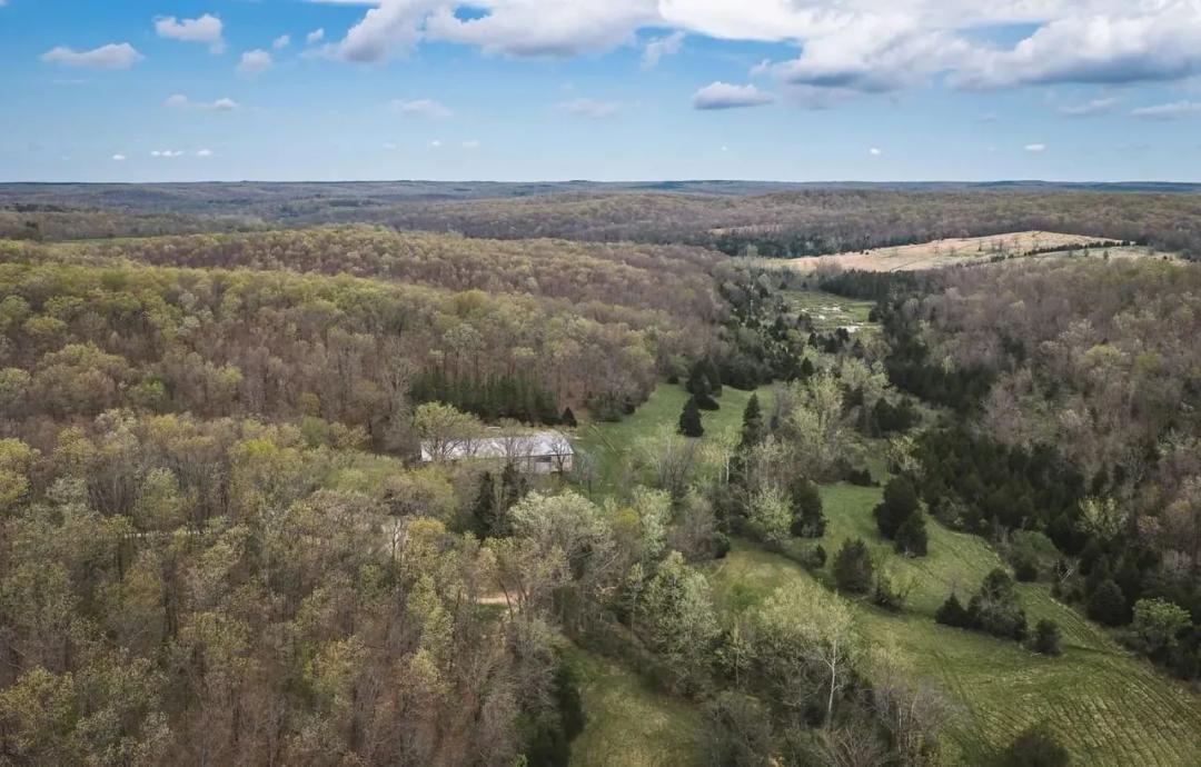Pine Hollow Estate
