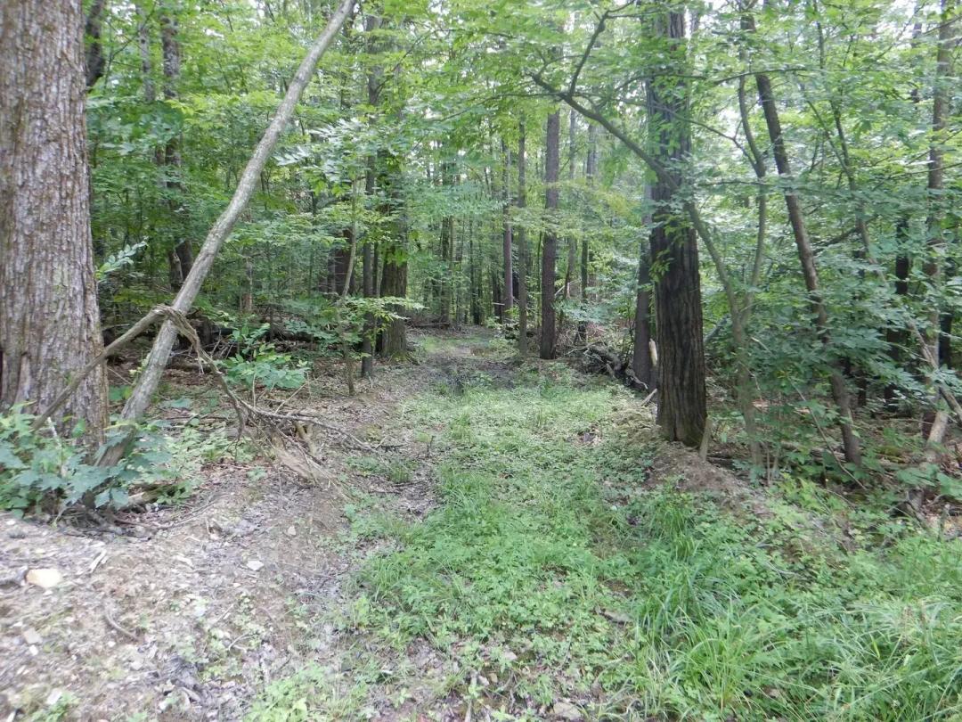 Chaffee Creek