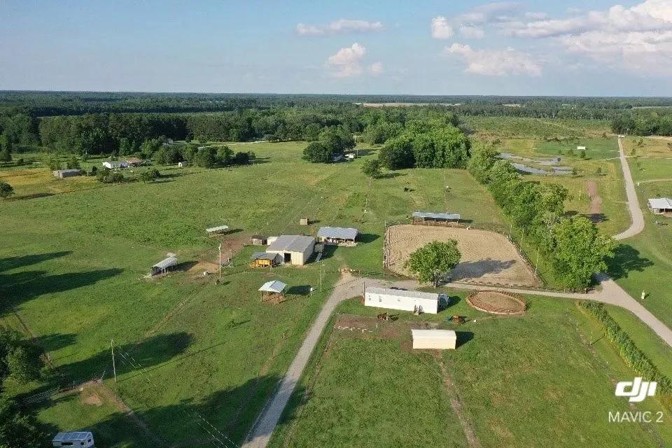 51156461-1