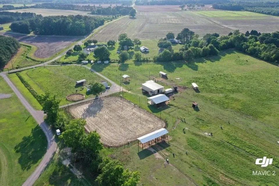 51156461-2