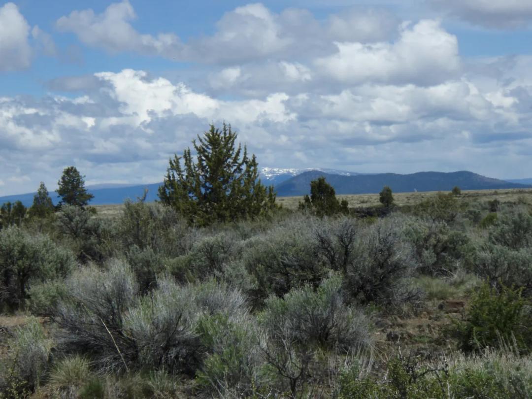 Wide Open Views on Tableland Mesa * corner lot
