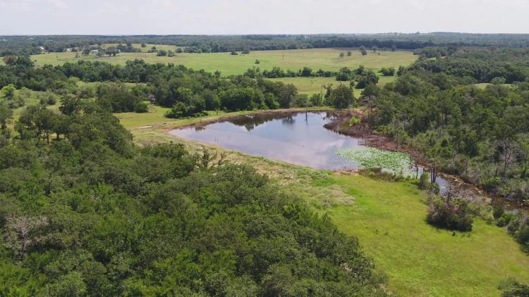 60 Acres in Milam County