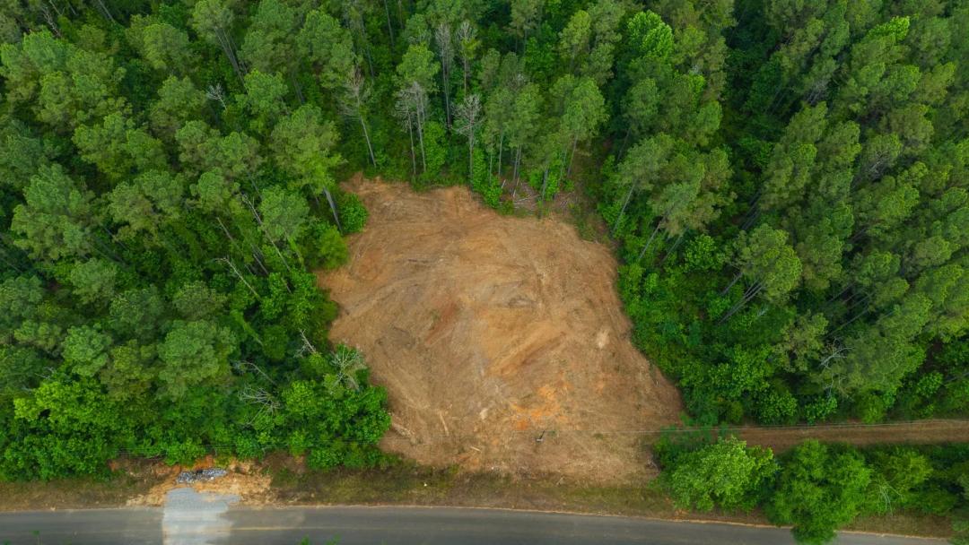13 Acres in Hale County, AL
