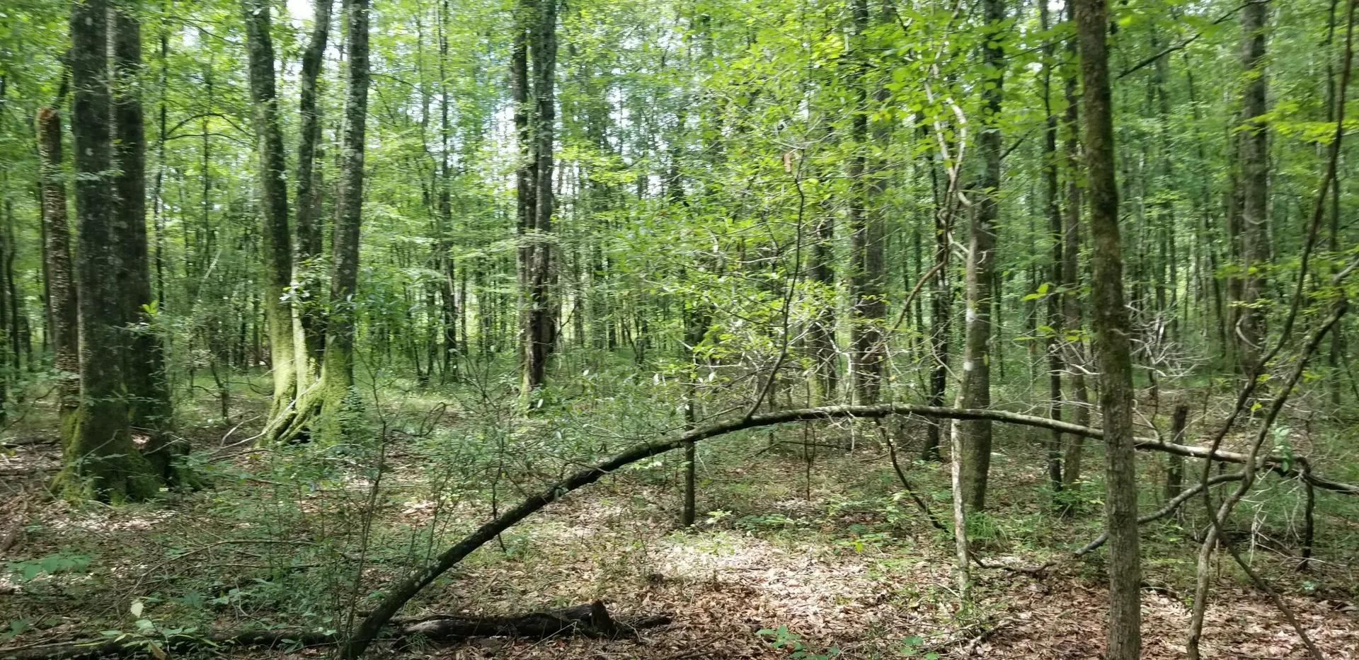51189819-5