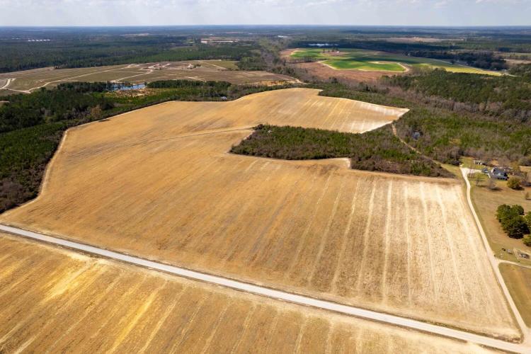203.00 Acres at 0 DeVane's Farm Road