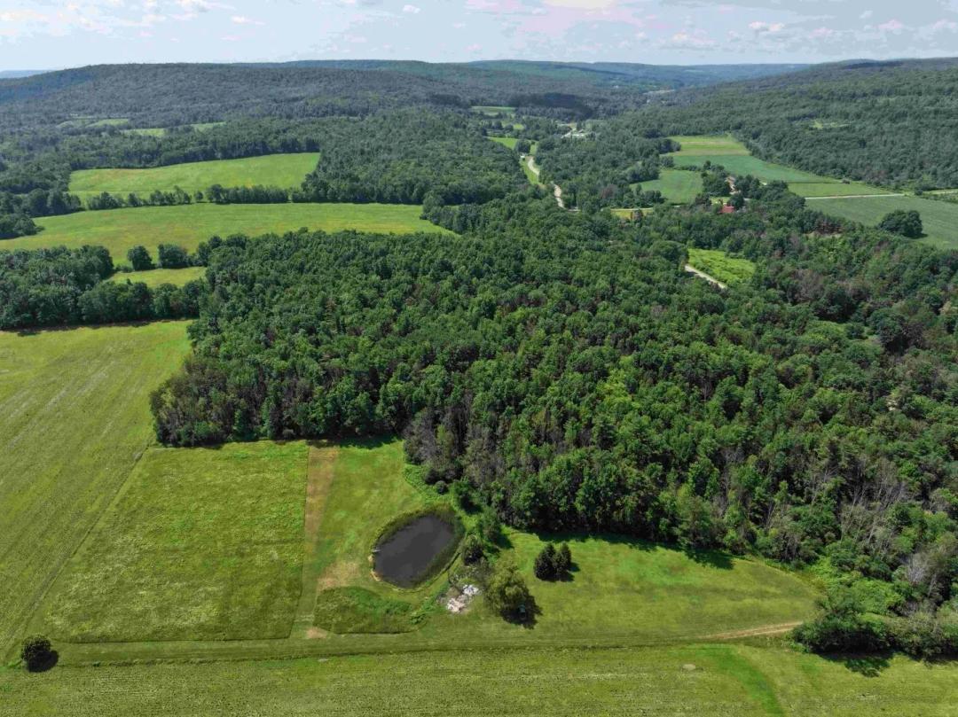 5 acre Building Lot and Recreational Land with Camp, Pond and Owner Financing in Belfast NY CR 17 Lot 9