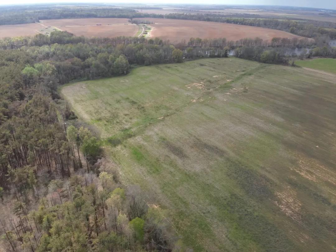 LA - Morehouse 70 acres +/-