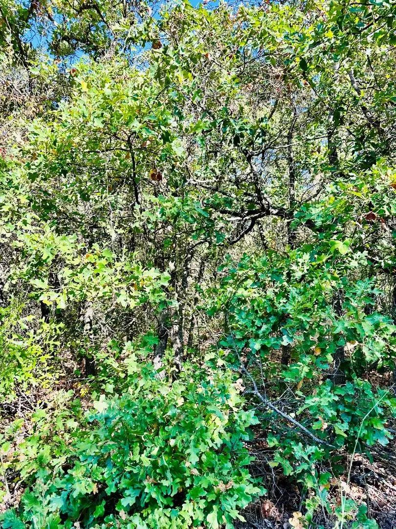 51284993-9