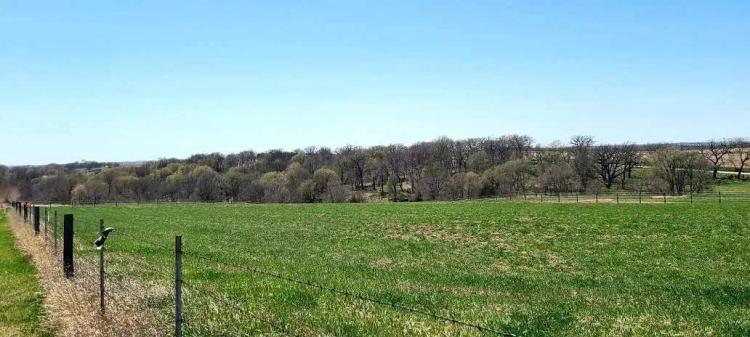 Chapel Hill Estates - Lot 3
