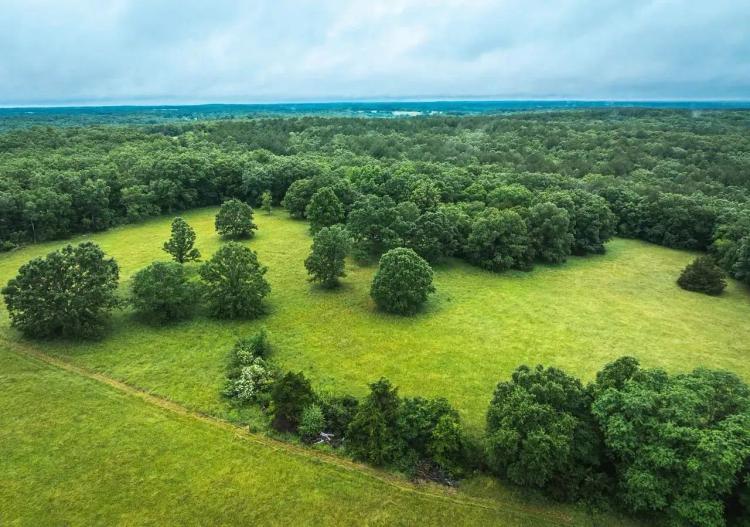 T-Cross Farm Tract 4